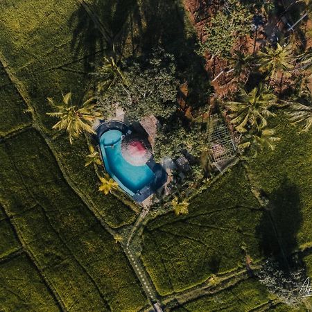 Nelu Resort Сигирия Екстериор снимка