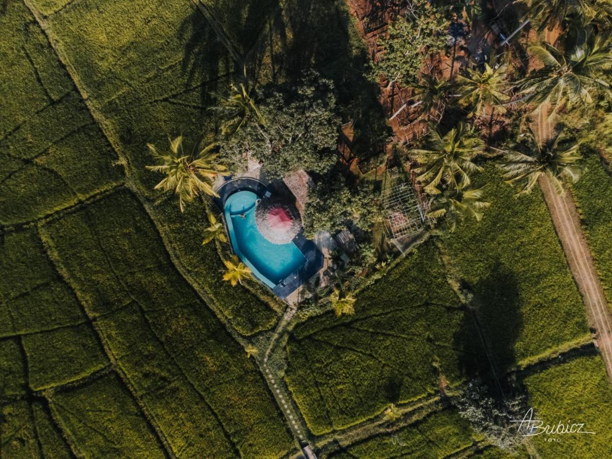 Nelu Resort Сигирия Екстериор снимка